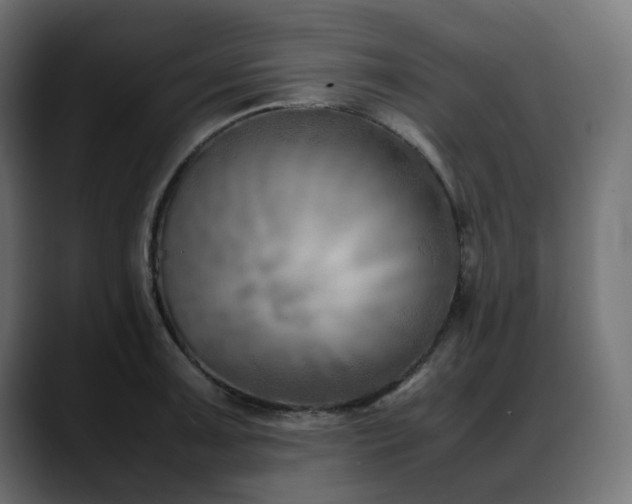 X0000088581091200705251133