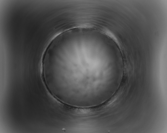 X0000088581095200705251133