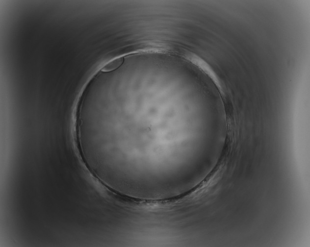 X0000088581099200705251133