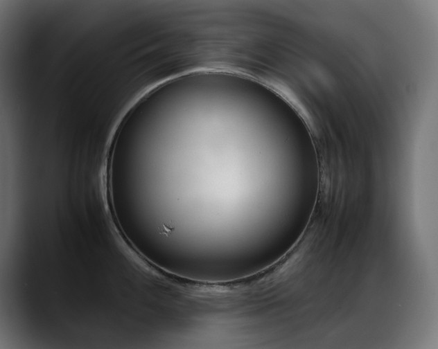 X0000088581100200705251133