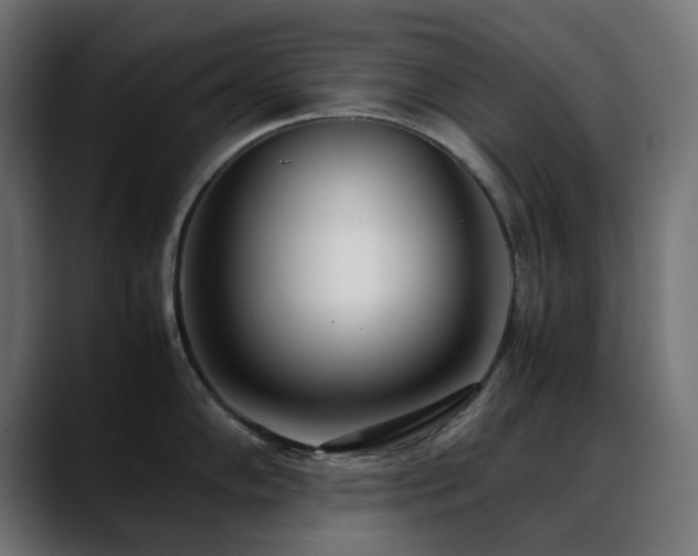 X0000088581102200705251133