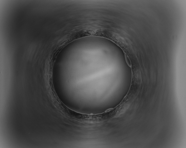 X0000088581105200705251132
