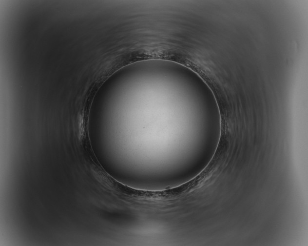 X0000088581106200705251132