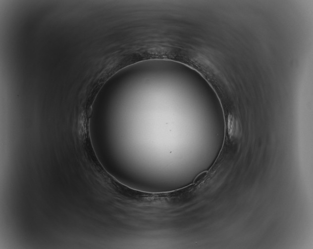 X0000088581107200705251132
