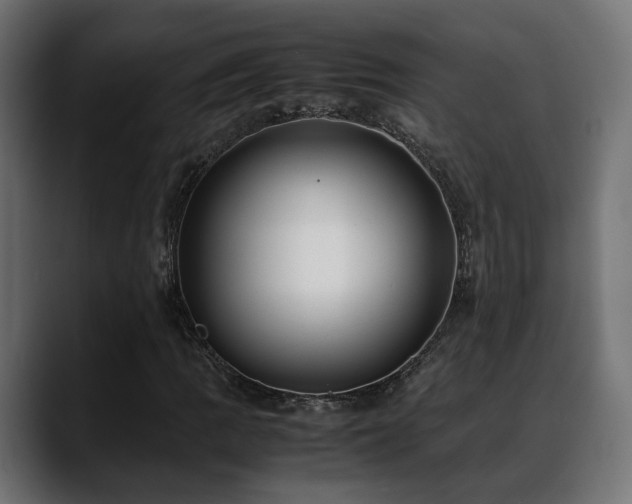 X0000088581109200705251132