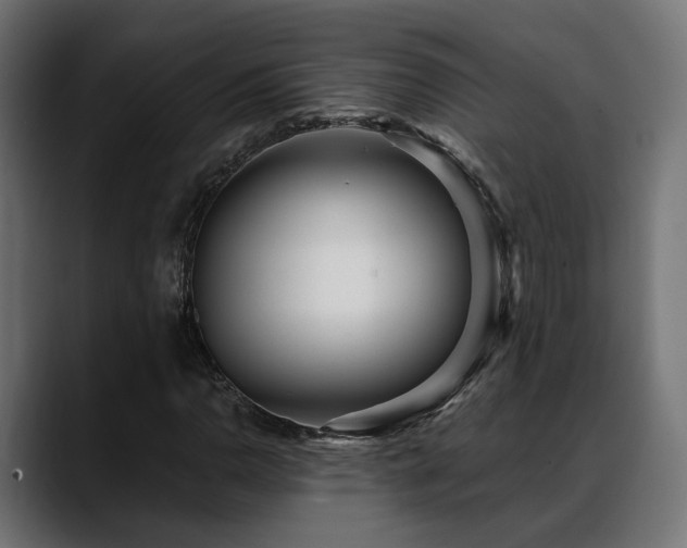 X0000088581110200705251132