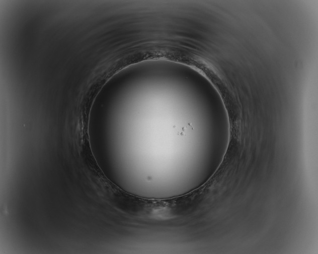 X0000088581111200705251132
