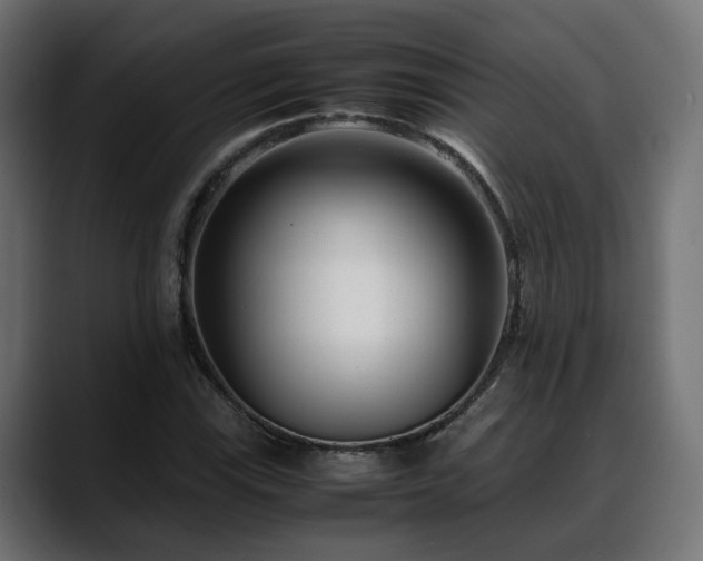 X0000088581115200705251132