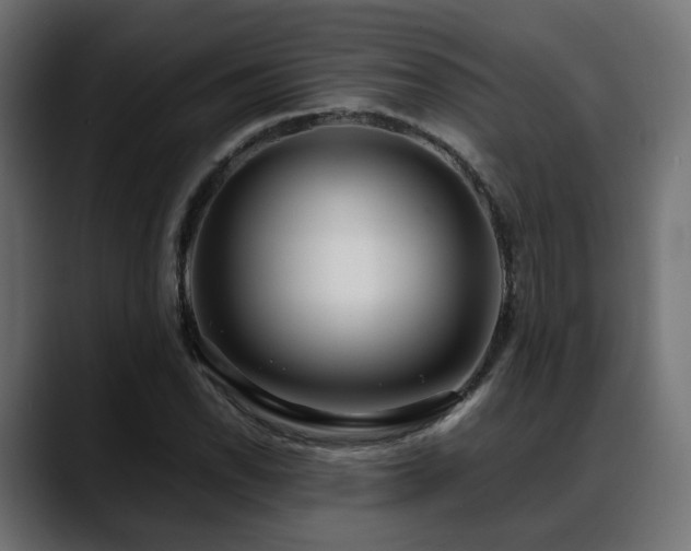 X0000088581118200705251132