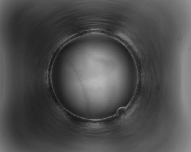 X0000088581121200705251132