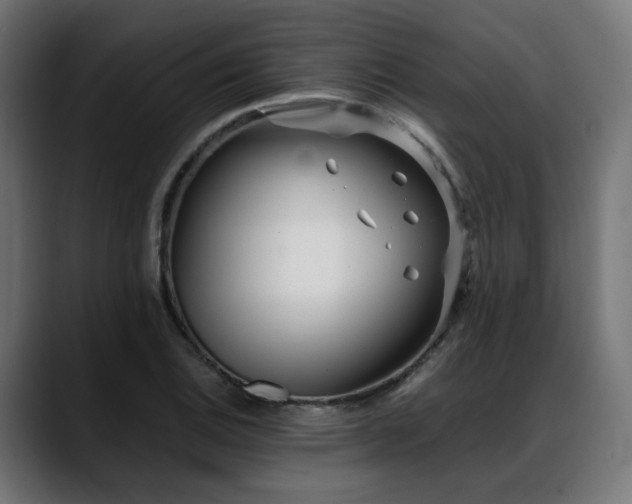 X0000088581124200705251132