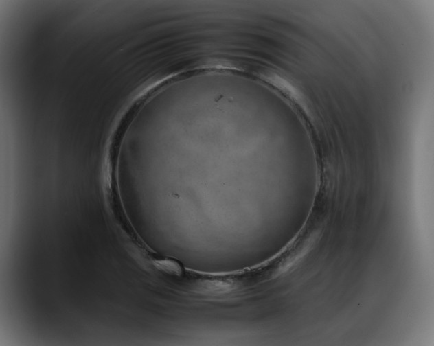 X0000088581125200705251132