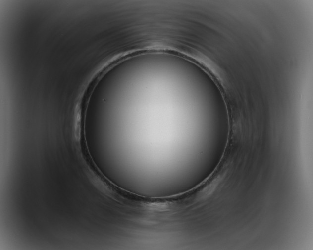 X0000088581126200705251132