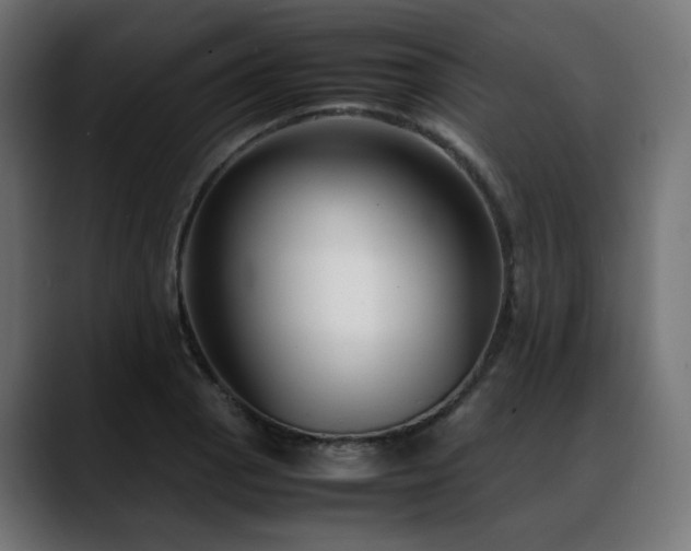 X0000088581129200705251132