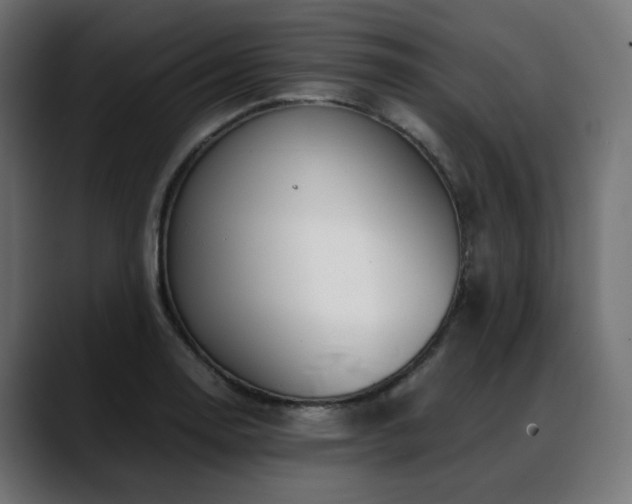 X0000088581130200705251132