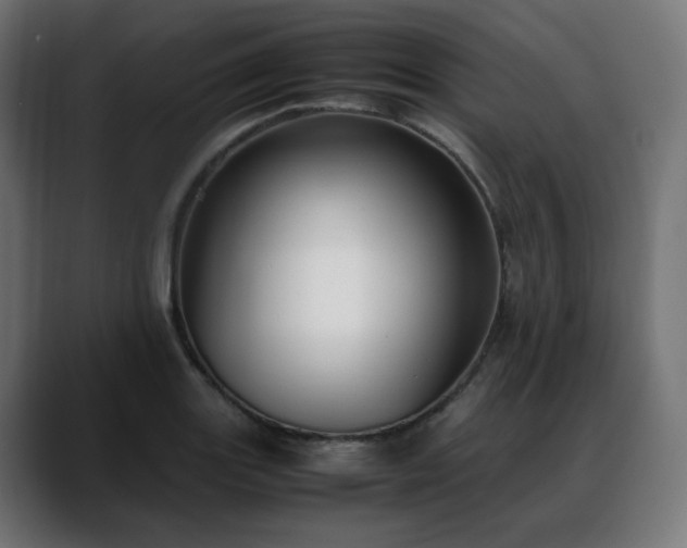 X0000088581131200705251132