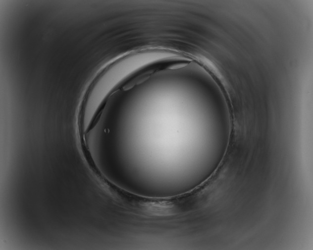 X0000088581133200705251132