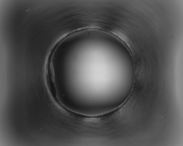 X0000088581135200705251132