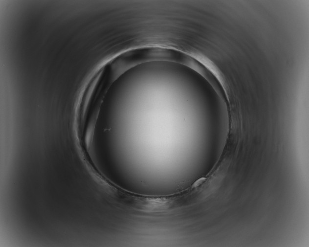 X0000088581144200705251133
