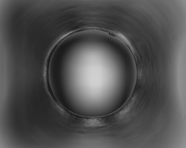 X0000088581149200705251133