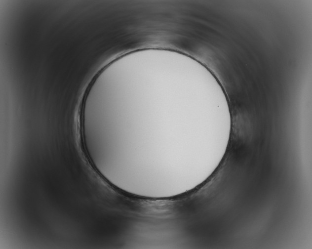 X0000088581150200705251133