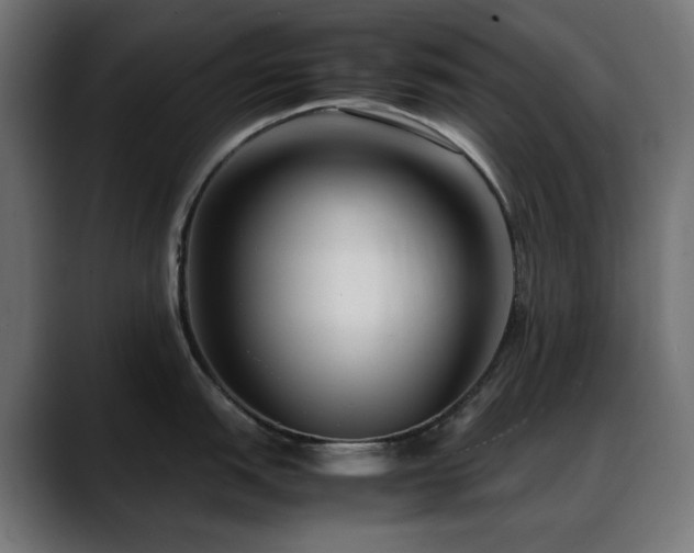 X0000088581151200705251133