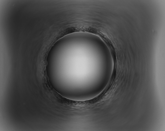 X0000088581153200705251132
