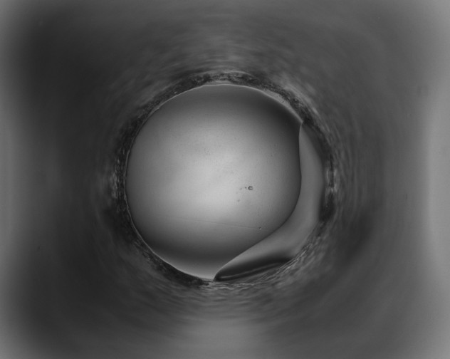 X0000088581159200705251132