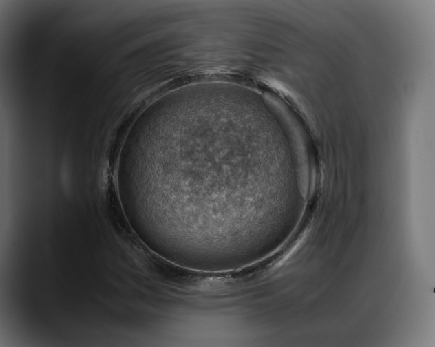 X0000088581161200705251132