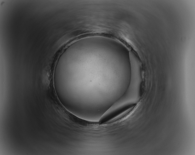 X0000088581163200705251132