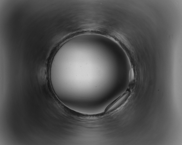 X0000088581164200705251132