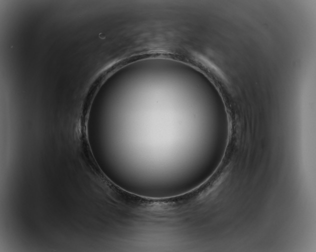 X0000088581166200705251132