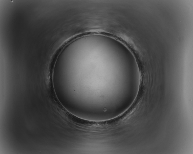 X0000088581167200705251132