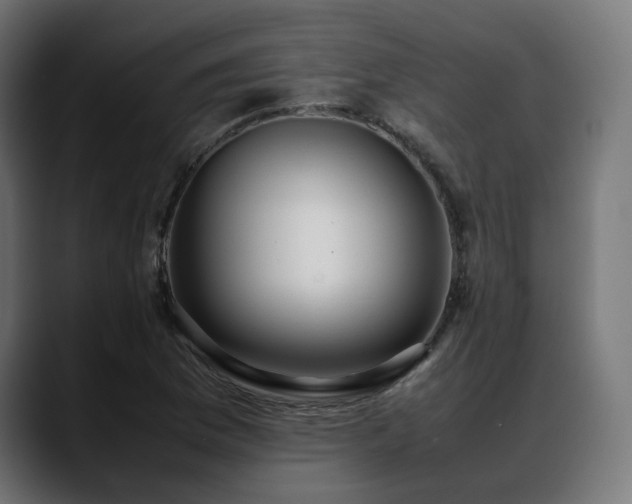 X0000088581169200705251132