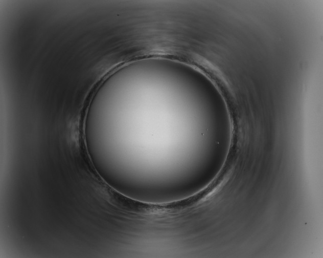 X0000088581170200705251132