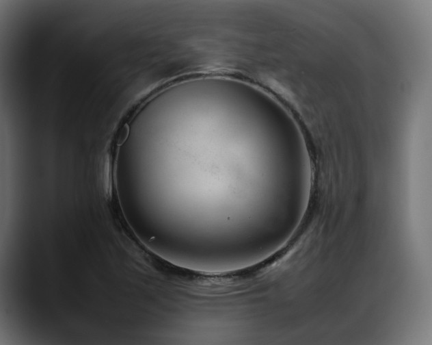 X0000088581171200705251132