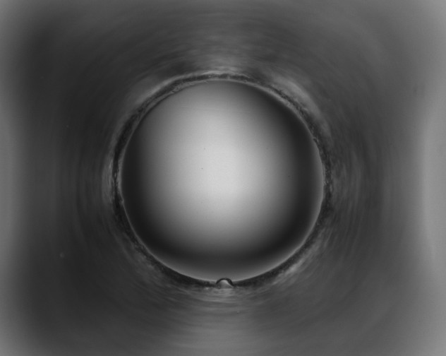 X0000088581172200705251132