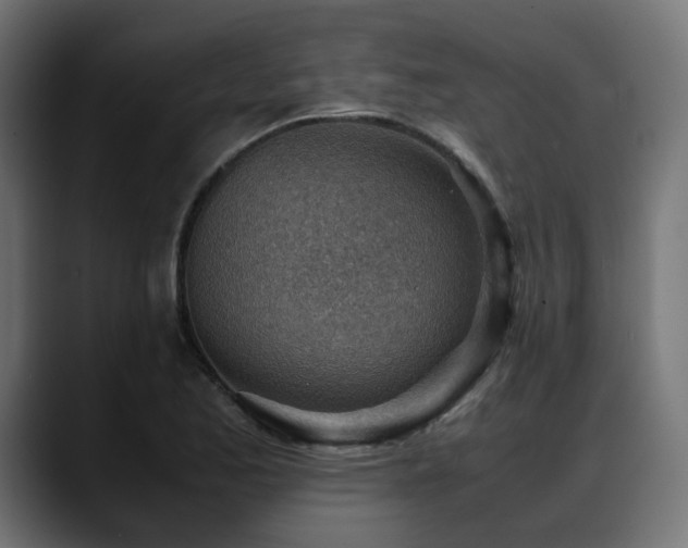 X0000088581173200705251132