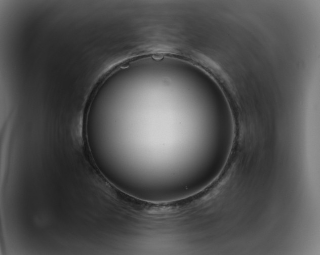 X0000088581174200705251132