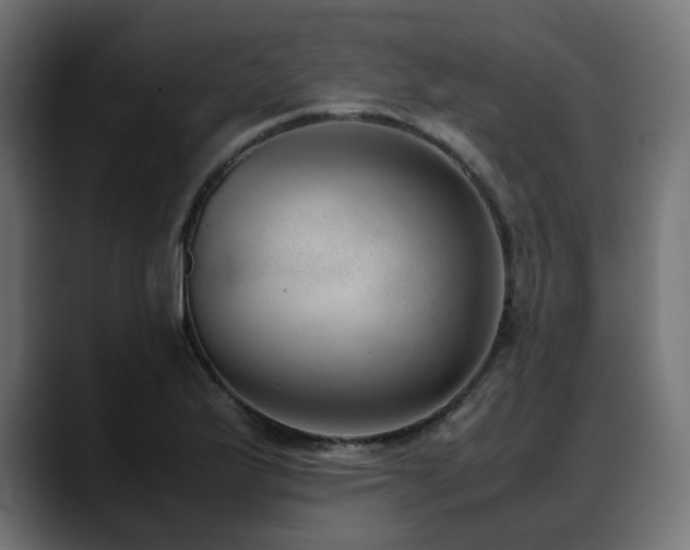 X0000088581175200705251132