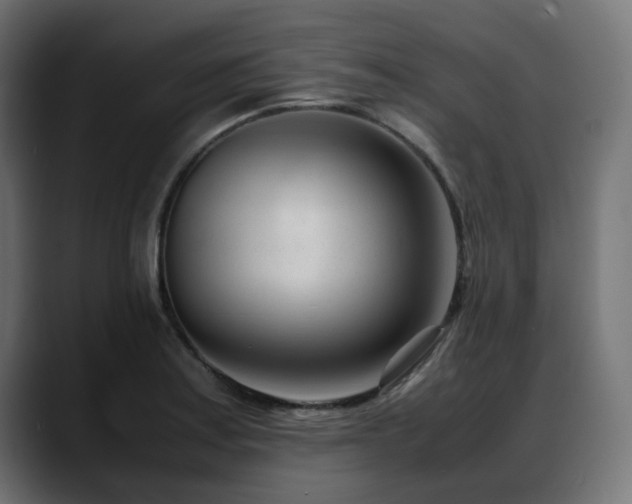 X0000088581179200705251132