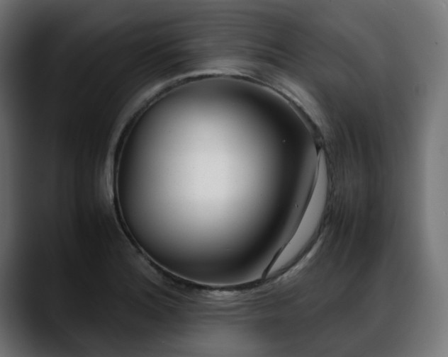 X0000088581180200705251132