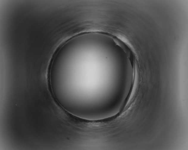 X0000088581181200705251132