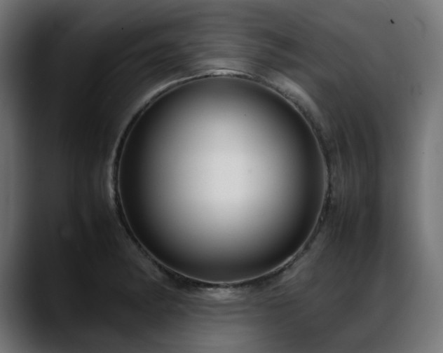 X0000088581182200705251132