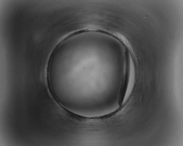 X0000088581183200705251132