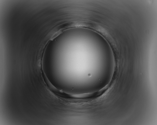 X0000088581185200705251132