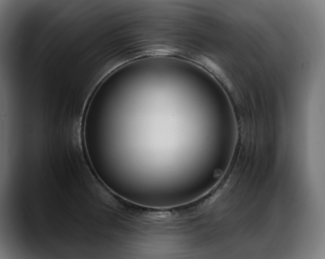X0000088581186200705251132