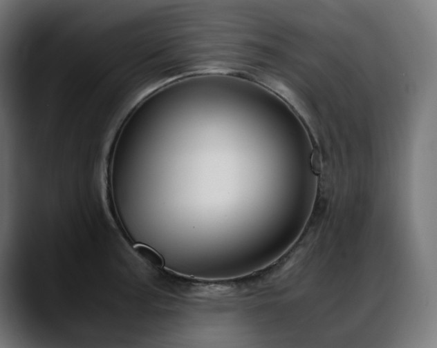 X0000088581187200705251132