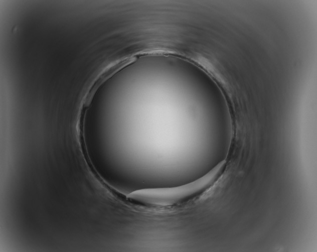 X0000088581189200705251132