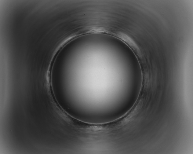 X0000088581190200705251132